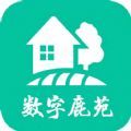 数字鹿苑政务服务