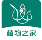 眼香