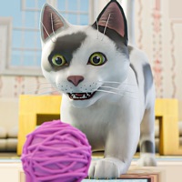 我的可爱猫宠物模拟器游戏