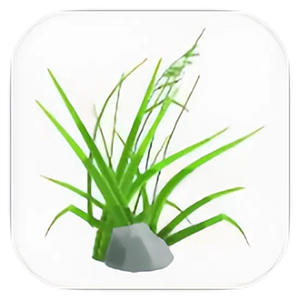 小草定位