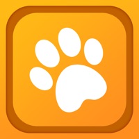 汪星人喵星人交流