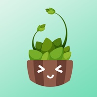 绿植养成记