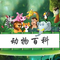动物百科