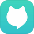 指南猫