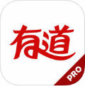 有道词典本地增强版