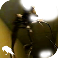 暗房Backrooms后室level