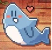 我的小鲨鱼手机版