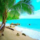 荒岛惊魂手机版