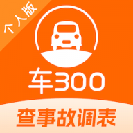 车300二手车定制版