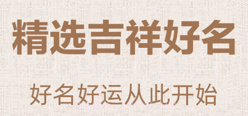 易经国学起名v3.1.12截图