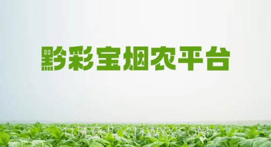 黔彩宝烟农平台v1.1.10截图