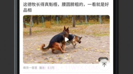 翘翘刷视频v1.0.11截图