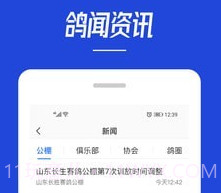 青鸽网v3.6.10截图