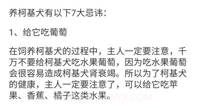 宠物点点v1.4.5截图