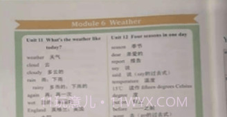 小猪单词王v1.0.18截图