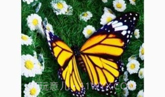 波浪动态壁纸v6.2.8截图