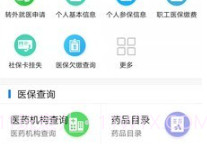 临沂医保v2.4.8截图