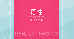 悟性v5.15截图