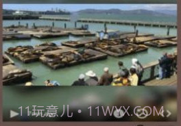 Live Camera Viewer软件v1.7截图