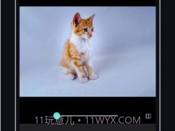 PicsDazz修图v1.9截图