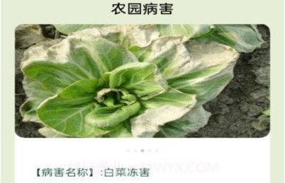 田园手册v1.0.9截图