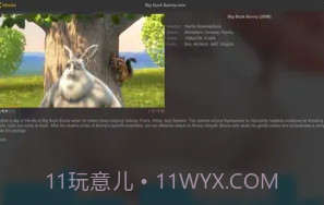 nPlayerV1.5.5.5截图