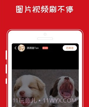 青岛小奇v1.0.10截图