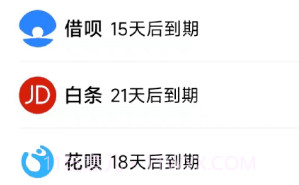 叮叮记账本v1.2.11截图