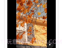 云秒剪v1.7截图
