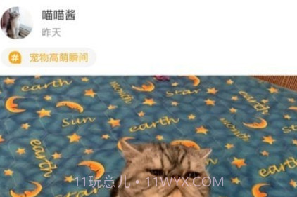 真命天喵v1.14截图