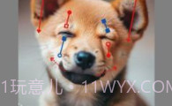 DragGAN AIV1.8截图