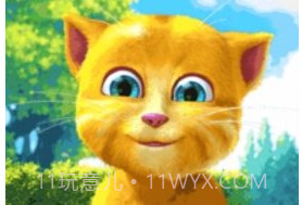 会说话的金杰猫2v2.8.5.17截图