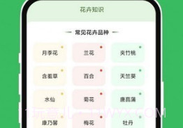 青沁睐匣子v1.0.12截图