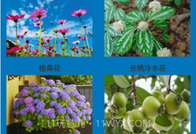 神农花草园艺v1.0.7截图