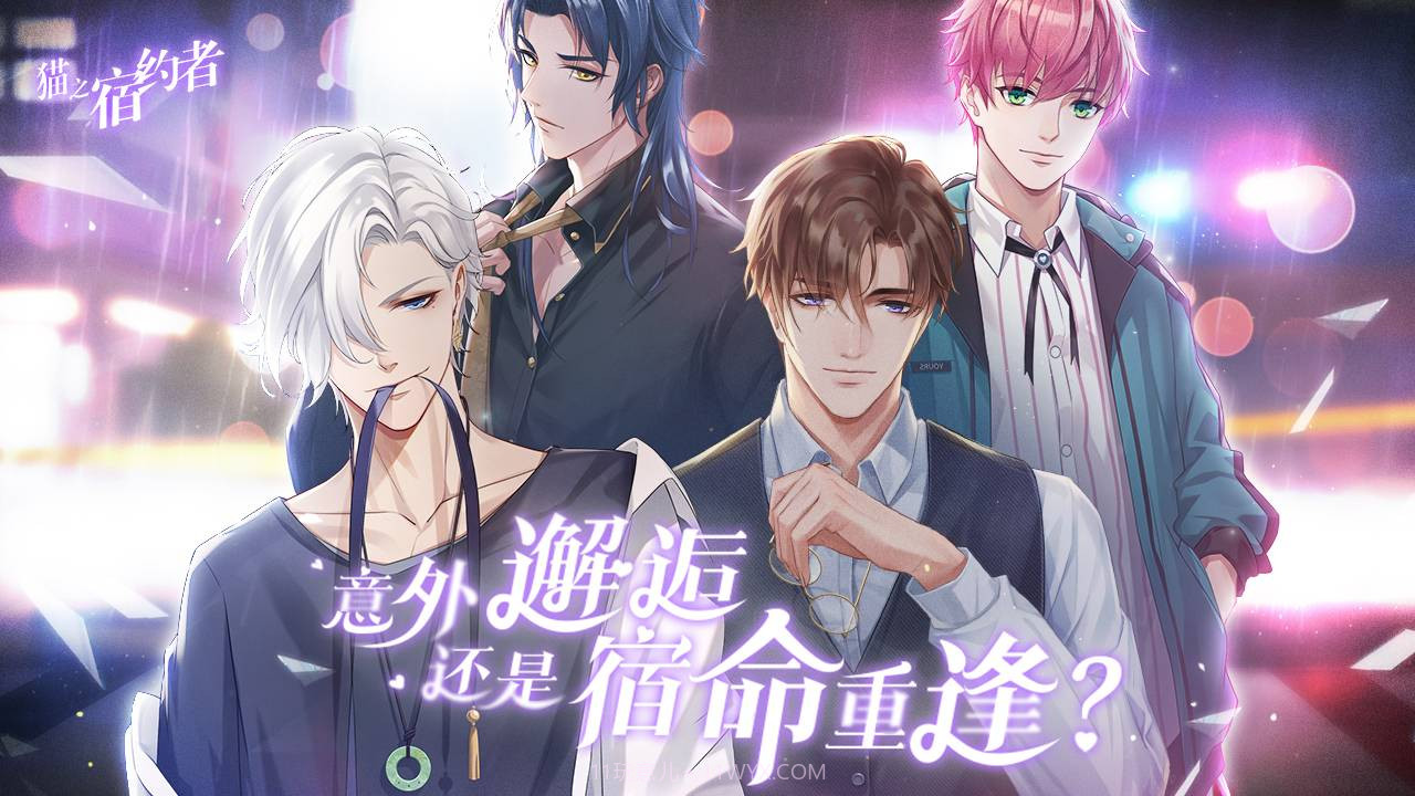 猫之宿约者v1.111截图