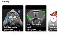vet Anatomyv3.1.0v3.0.6截图