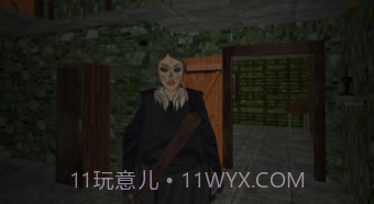 祖传房子的可怕奶奶v1.11截图