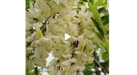趣豆壳v1.6.16截图