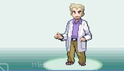 口袋妖怪暗之冰花v1.0.11截图