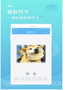 蓝莓去水印v1.15截图
