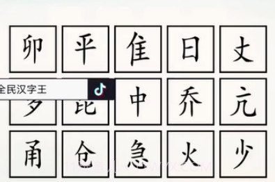 全民汉字王v1.12截图
