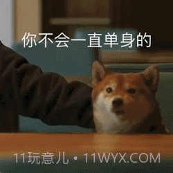 玩图控v1.1.16截图