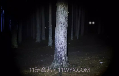永远不要尖叫v2.0.9截图