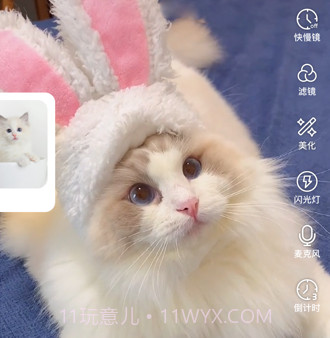 绒语v1.3.15截图