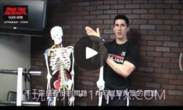 山猫运动v1.11截图