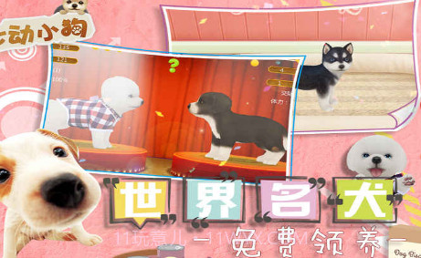 我的心动小狗v1.11截图