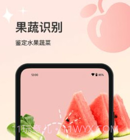 花卉识别大全v1.0.13截图