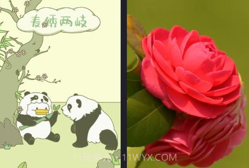 叮咚来电秀v1.0.14截图