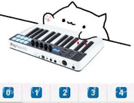演奏乐器的猫v1.18截图