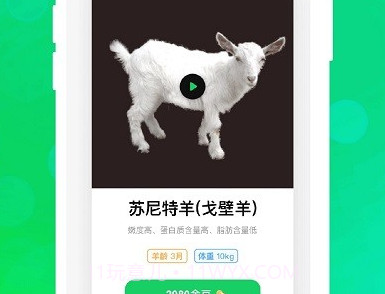 飞扣牧场v1.0.12截图